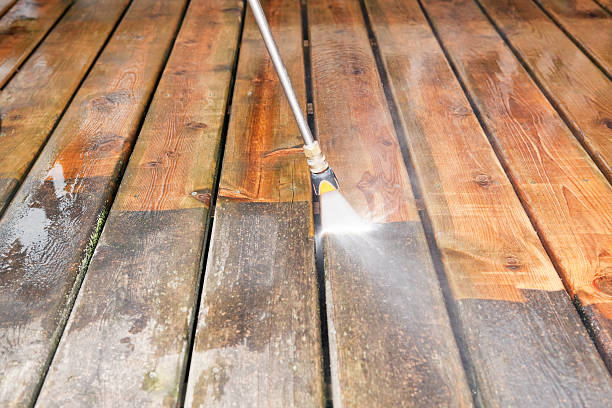 Animal Enclosure Cleaning in Mansfield, TX